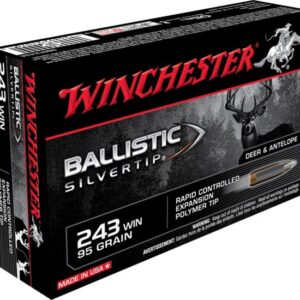 Winchester Ballistic Silvertip 95 500 Rds